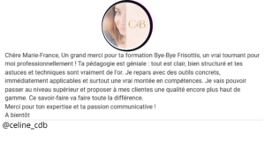 avis bye bye Frisottis avis bye bye Frisottis